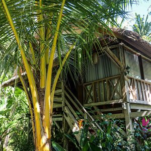 Keramas Sacred River Village - Suite vue jungle