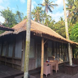 Suite vue piscine et salon Bali retraite méditative
