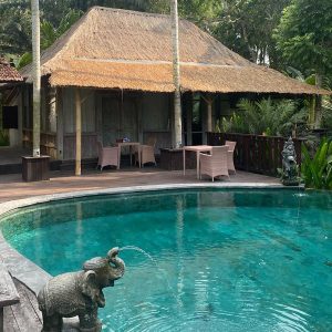 Suite vue piscine et salon Bali retraite méditative