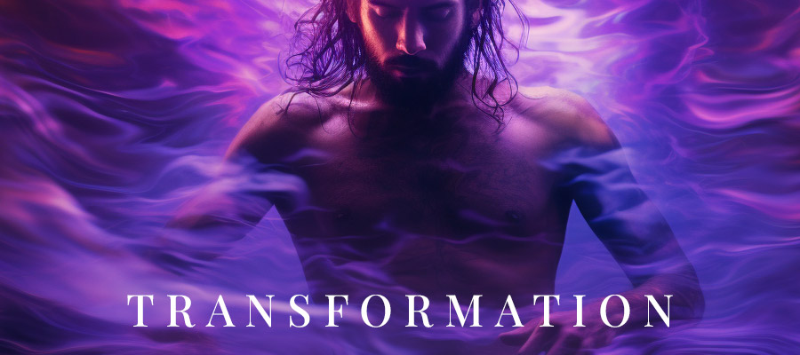 HEAL IN - Transformation